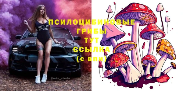 ALPHA-PVP Верхний Тагил