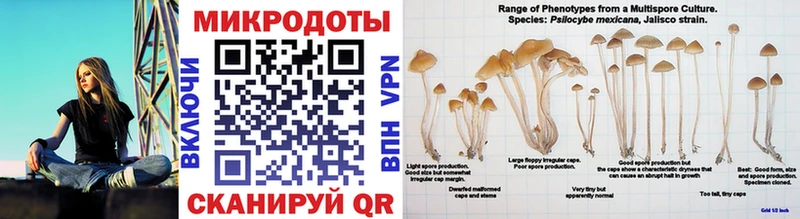 Галлюциногенные грибы GOLDEN TEACHER  Исилькуль 