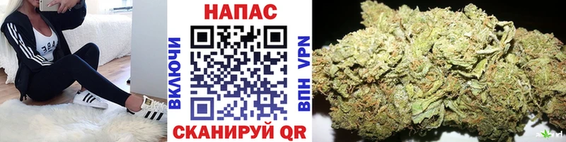 Каннабис SATIVA & INDICA  закладка  Исилькуль 